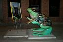 /toledo/P0002052.jpg: Frog