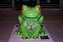 /toledo/P0002054.jpg: Frog