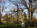 /tree/P2090002.JPG